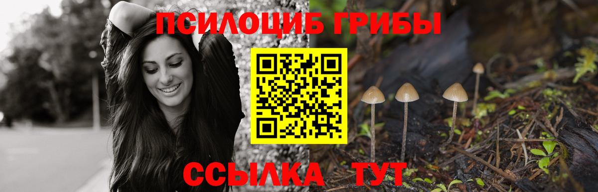Елизово  Псилоцибиновые грибы ЛСД  Вход с VPN  Псилоцибиновые грибы мицелий 