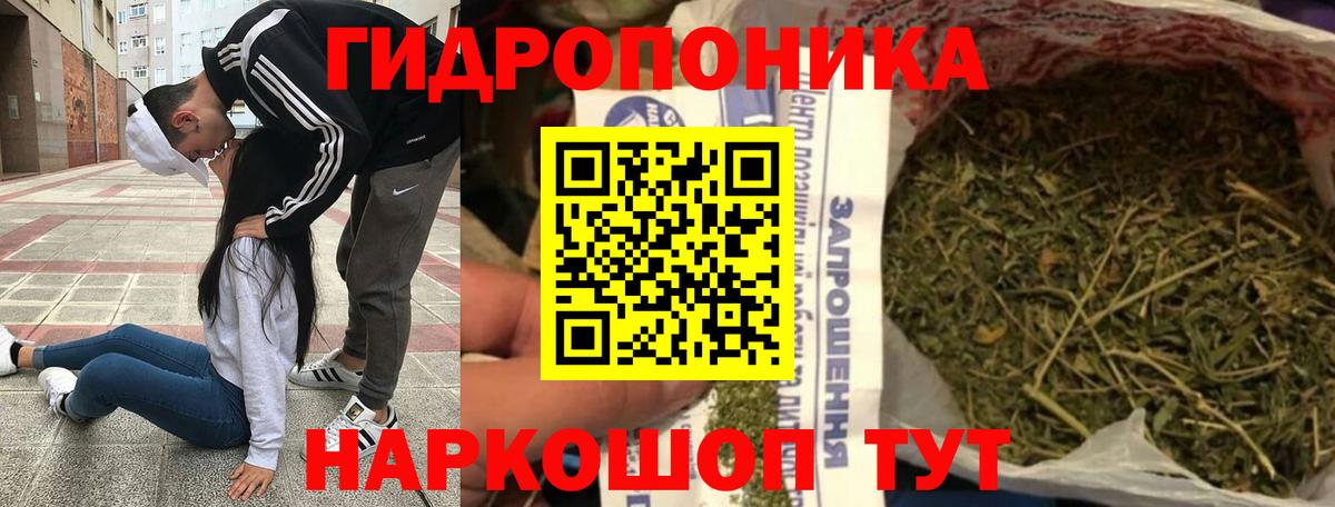 Канабис конопля Елизово
