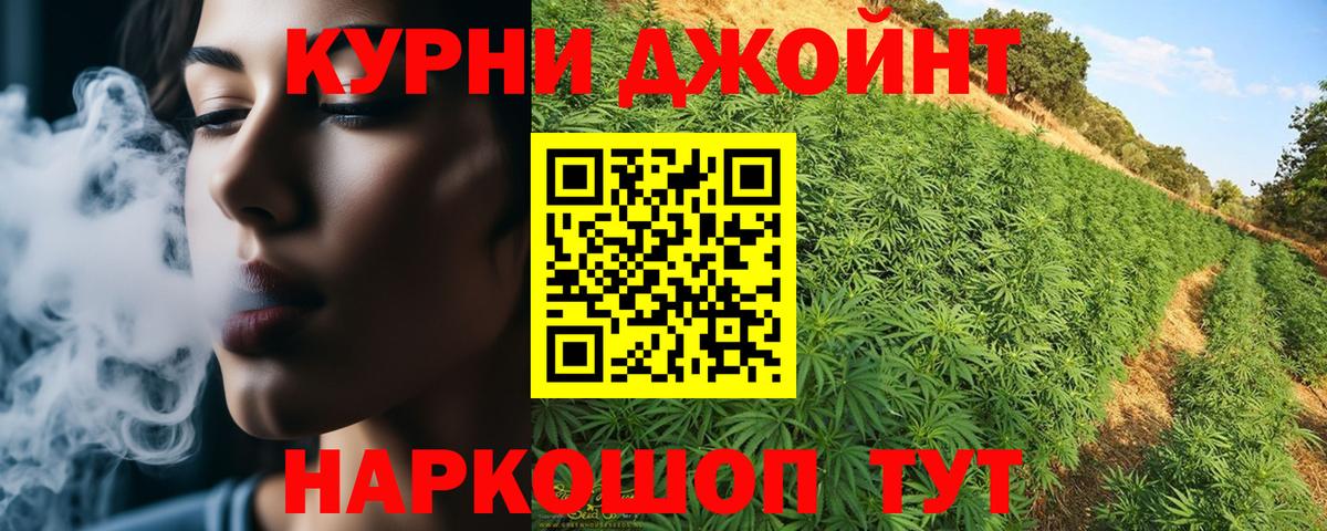Шишки марихуана Bruce Banner  Вход с VPN  Елизово  МАРИХУАНА Amnesia  Бошки марихуана OG Kush 